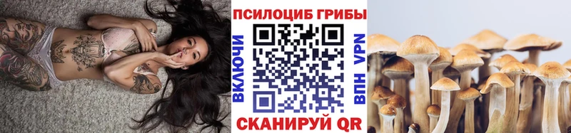 Псилоцибиновые грибы мухоморы мега онион Лениногорск где купить наркотик